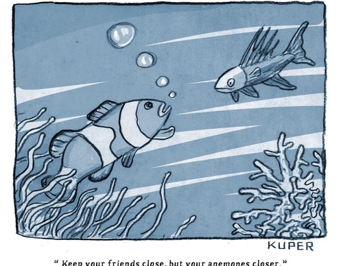 peter kuper