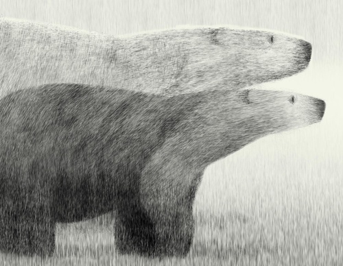 Gallery Of Illustration By Tom Booth - Usa