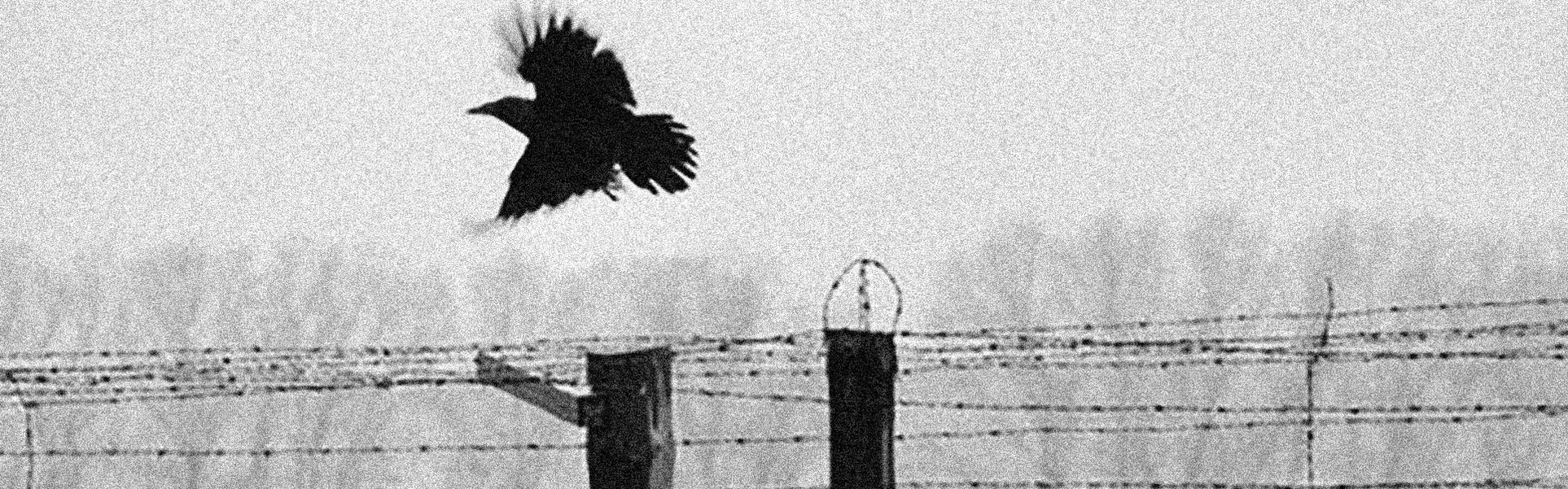 Gallery of Photography by Erich Hartmann – Germany