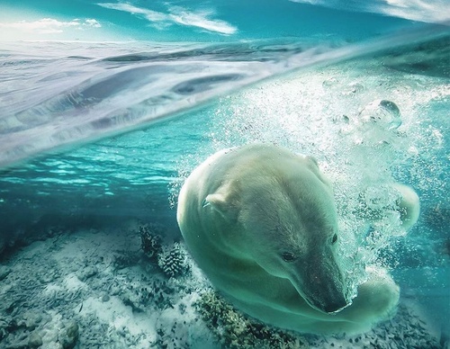 Galería de fotografías de Evgeny Gammer - Rusia