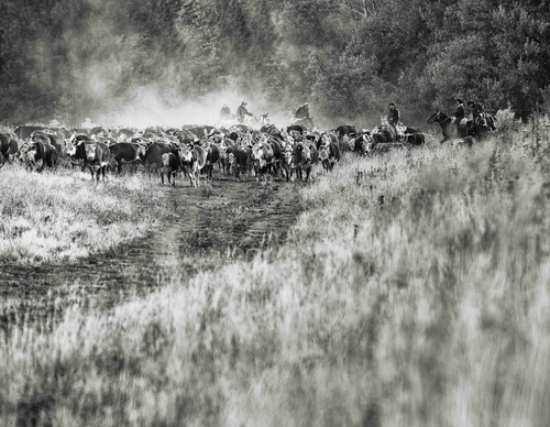 Galería de fotografía de Patricio Rodríguez - Argentina