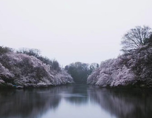 Gallery Of Photography By Takashi Yasui - Japan