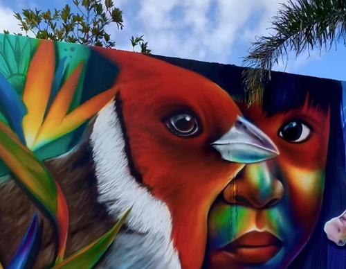 Gallery Of Street Art By Fábio Gomes Trindade - Brazil