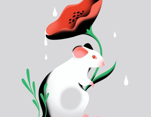 Gallery Of Illustration By Cat Finnie - England