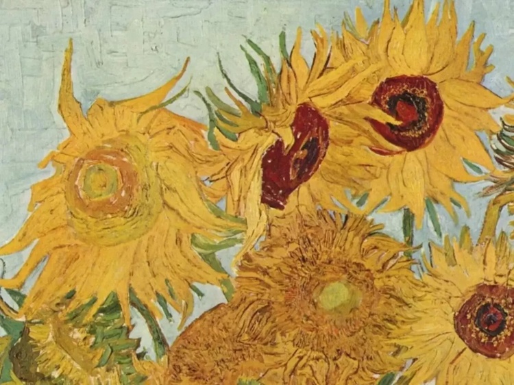 Seen by more than 1 million, the largest exhibition on Van Gogh arrives in São Paulo