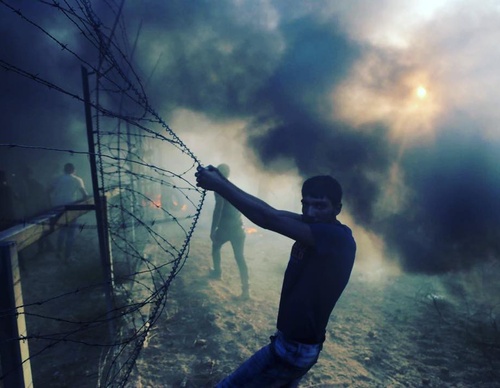 Galería de fotografías de Mohammed Zaanoun - Palestina