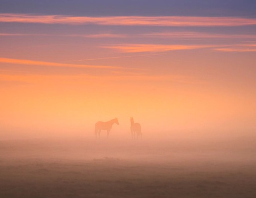 Gallery Of Photography By Albert Dros - Netherland