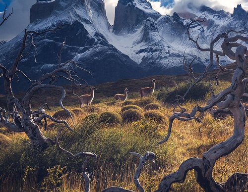 Gallery Of Photography By Marco Grassi - Argentina