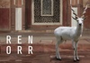 Karen Knorr | Transmigraciones