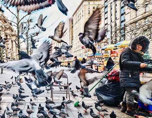 Galería de Fotografía Creativa por Michael Prince - EE. UU.