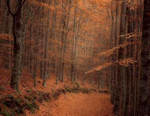Galería de fotografía de Jorge Reinaldo - Portugal