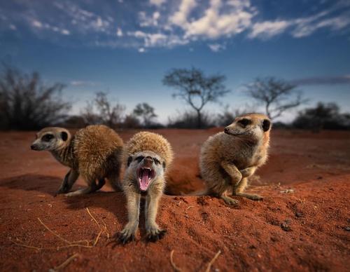 Gallery Of Photography By Keith Ladzinski - Brazil