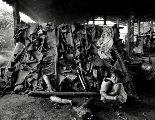cornell capa