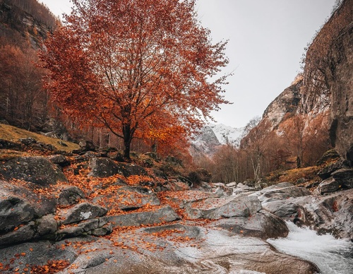 Gallery Of Photography By Ronald Söthje - Germany