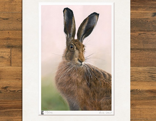 Galería de pintura realista de Annie Drew - Reino Unido