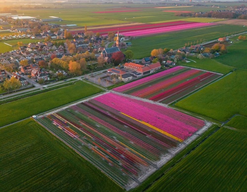 Gallery Of Photography By Albert Dros - Netherland