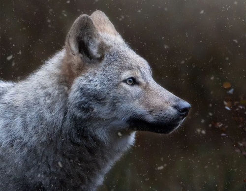 Gallery Of Photography By Elias Kalliola - USA