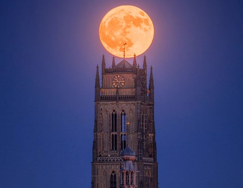 Gallery Of Photography By Albert Dros - Netherland