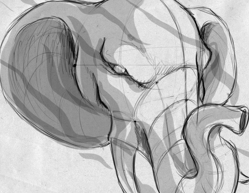 Gallery Of Illustration By Fernando Nunes - Brazil