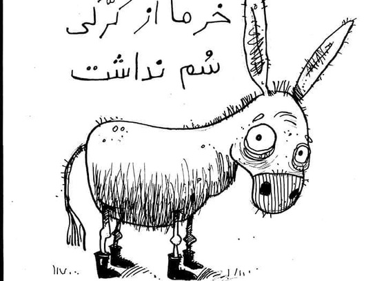 Faez Alidoosti