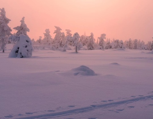 Gallery Of Photography By Elias Kalliola - USA