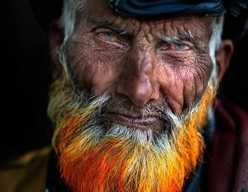 Galería de fotografía de Alessandro Bergamini - Italia