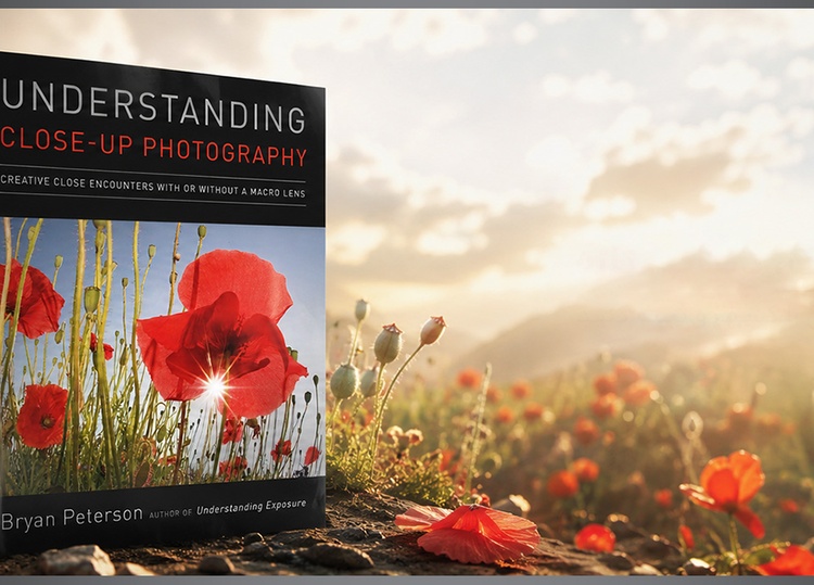 UNDERSTANDING CLOSE-UP PHOTOGRAPHY