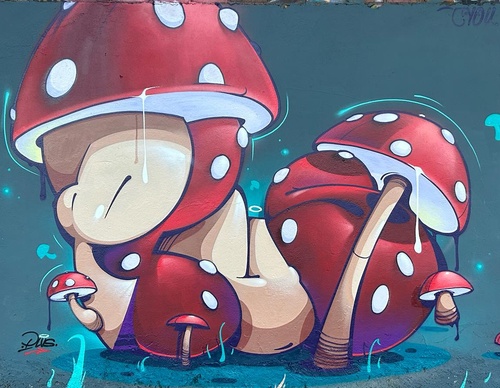Galeria De Arte De Rua De Soide - Colômbia