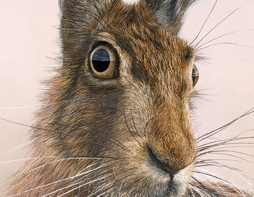 Galería de pintura realista de Annie Drew - Reino Unido