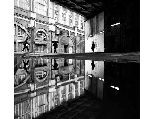Galeria de fotografia de Ovidiu Șelaru - Romênia