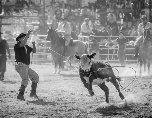 Galería de fotografía de Patricio Rodríguez - Argentina