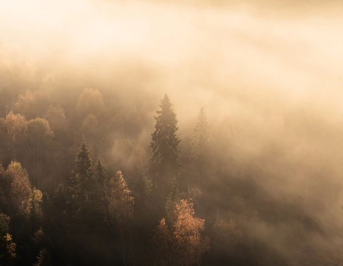 Gallery Of Photography By Elias Kalliola - USA