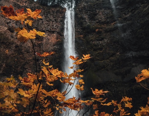 Galería de fotografías de Jared - Canadá