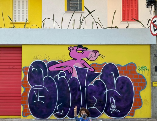 Gallery Of Street Art By Rafael Sliks - Brazil