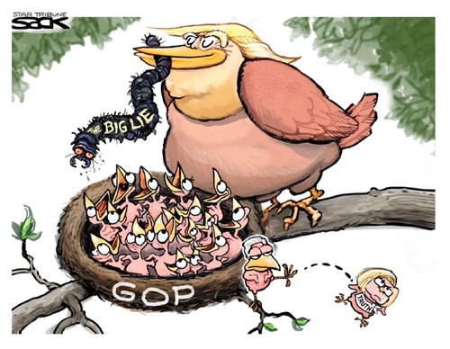 steve sack