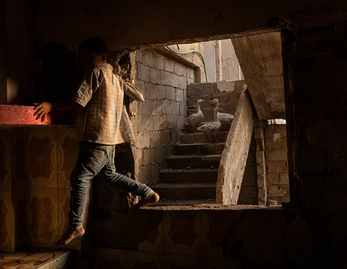 world press photo