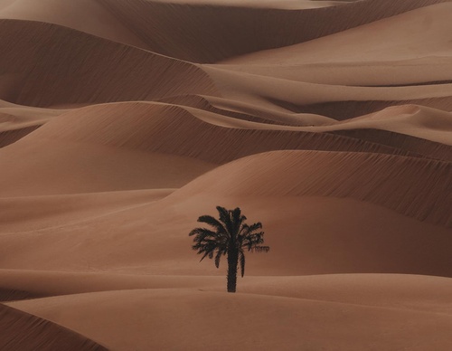 Galería de fotografías de Rob Ash - Inglaterra