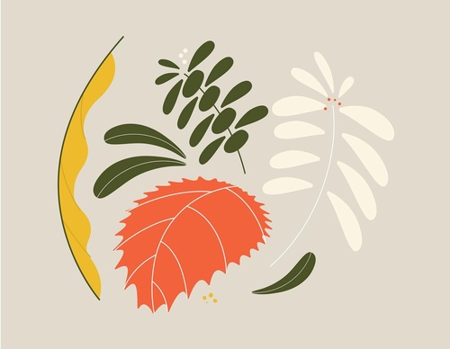 Gallery Of Illustration by Nora Gazzar- United Arab Emirates