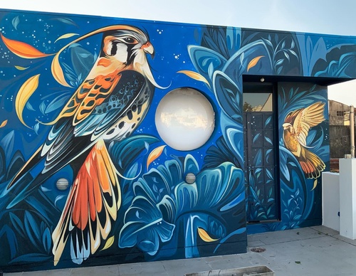 Gallery Of Street Art By Fio Silva - Argentina