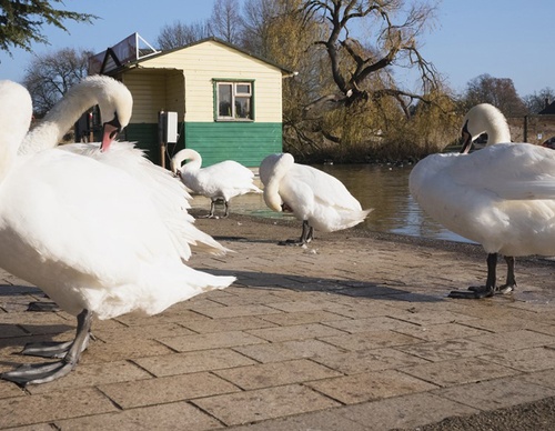 Gallery of Street Photography By Steve Bonati - Uk