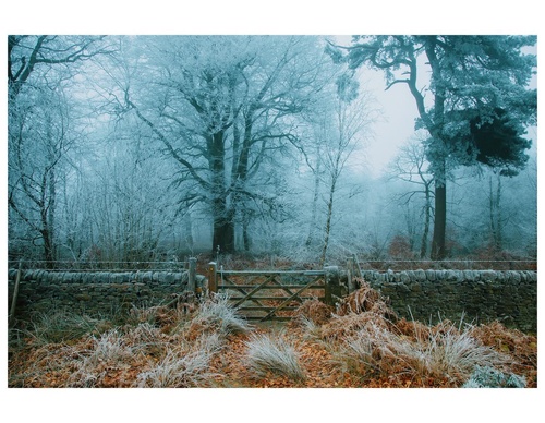 Gallery Of Photography By Daniel Casson - England
