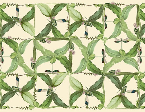 guillermo flores pacheco