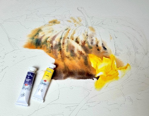Gallery WaterColor Painting By Bảo Huỳnh - Vietnam