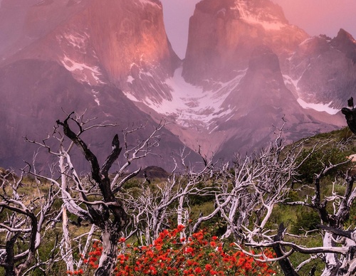 Gallery Of Photography By Timothy Dhalleine - Chile