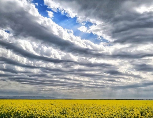 Gallery Of Photography By Mojtaba Nazari - Iran