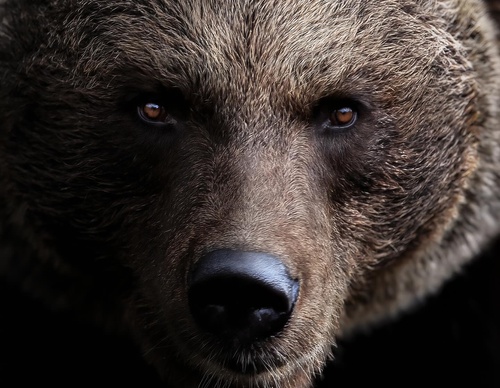 Galería de fotografías de Evgeny Gammer - Rusia