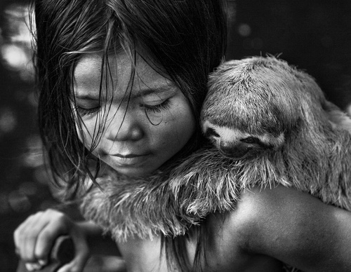 Galería de fotografía de Araquém Alcântara - Brasil