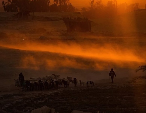 Gallery of photography by Ahmed Mansour - Egypt