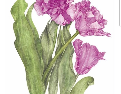 Galeria de Pintura de Silvia Trad - Portuguesa