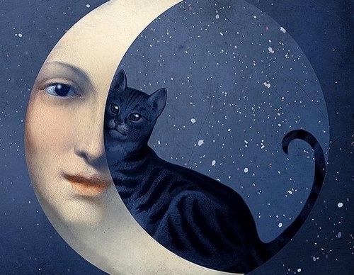 Galería de ilustraciones de Catrin Welz Stein - Alemania